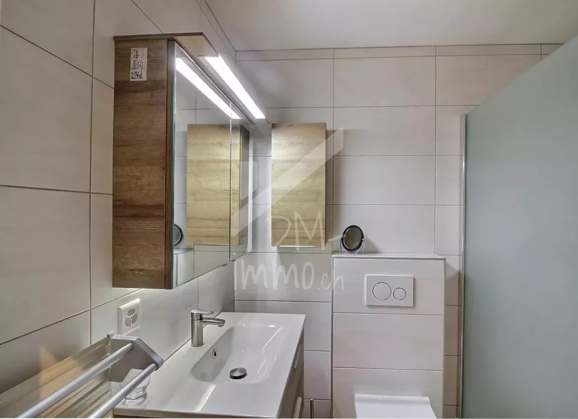 Appartement 2,5 P rénové, grande terrasse sud et véranda