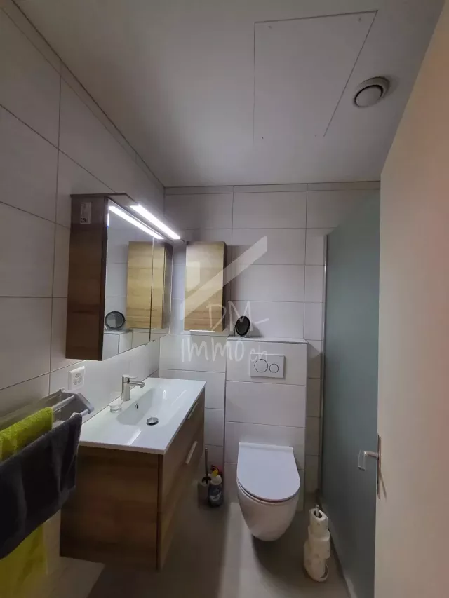 Appartement 2,5p rénové, grande terrasse sud