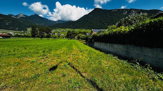 Villa Individuelle 6.5 pièces à Aigle