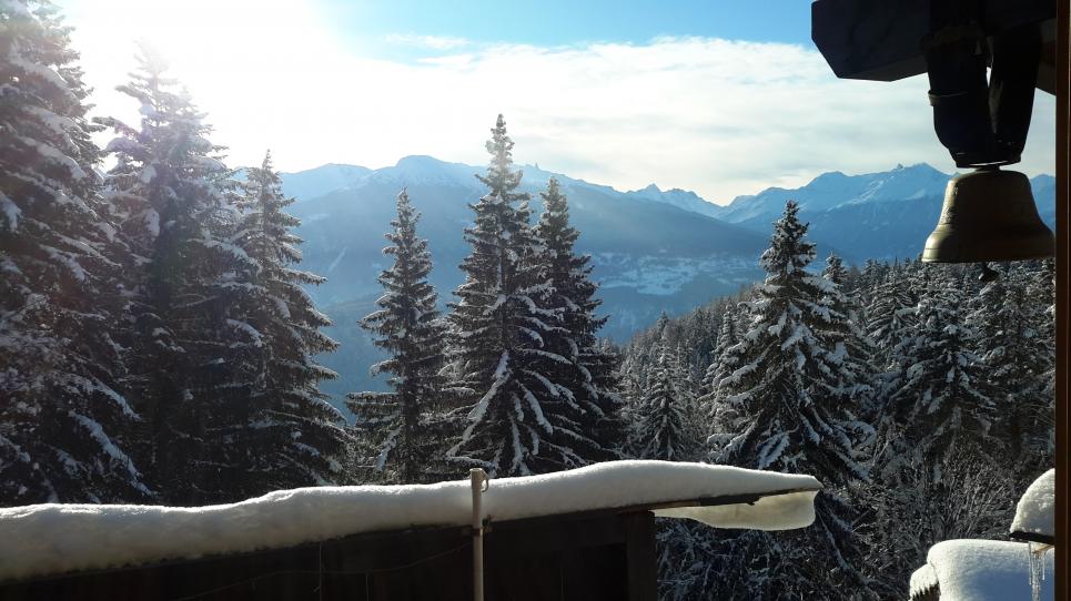 Chalet 4 pièces à Anzère