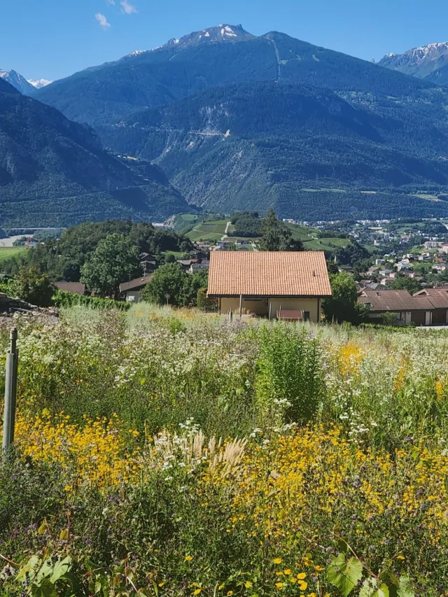 Appartement en terrasse de 4.5 pièces à Miège, Noble-Contrée