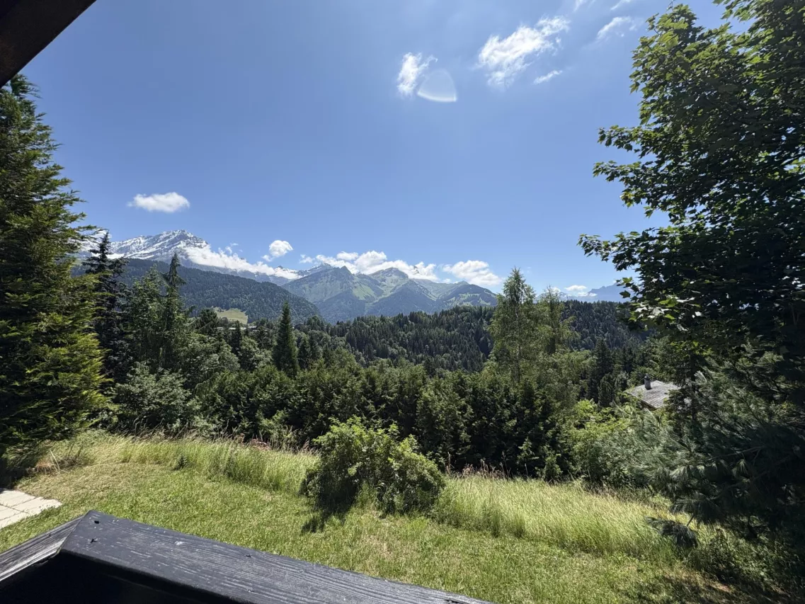 Chalet cocoon sur 1600 m2 de terrain, superbe vue
