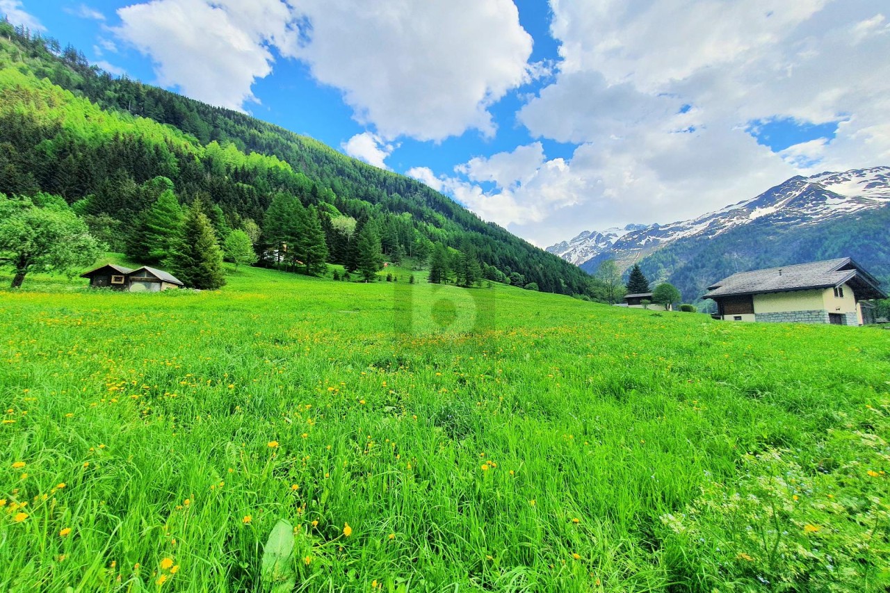 TERRAINS CONSTRUCTIBLES, AGRICOLES ET FORESTIERS