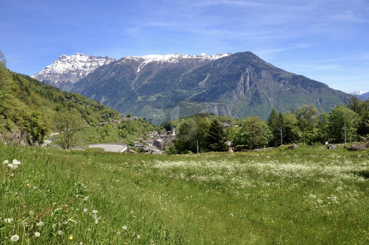 TRÈS GRAND TERRAIN - PERMIS DE CONSTRUIRE