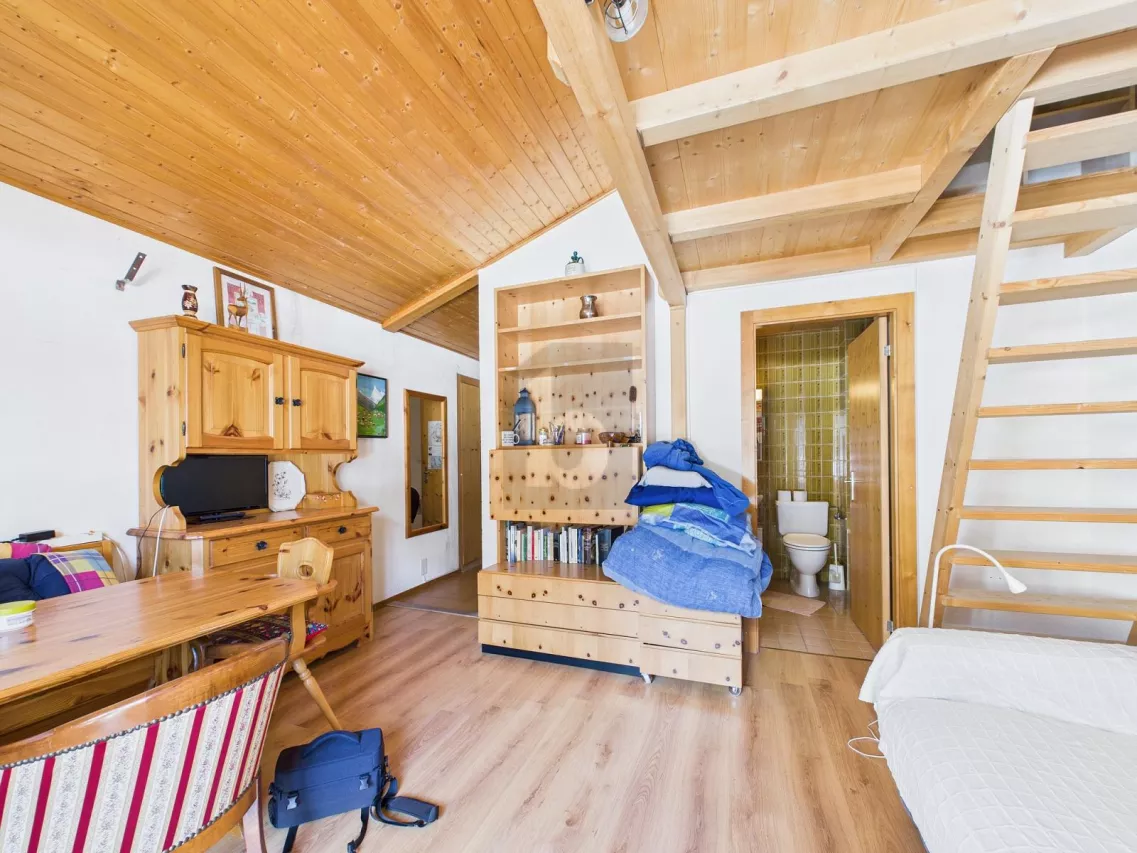 STUDIO DE MONTAGNE AVEC UNE GRANDE VUE