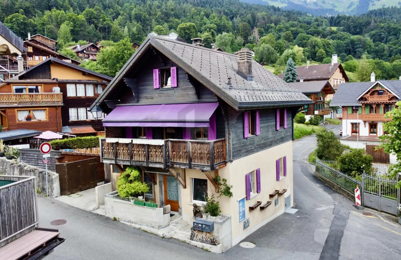 AU COEUR DU VILLAGE, AVEC 2 APPARTEMENTS, RENOVE
