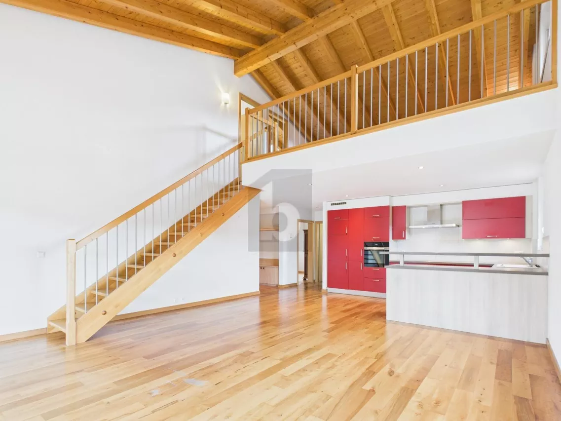 MODERNE, AVEC GRANDE MEZZANINE, VUE MONTAGNE