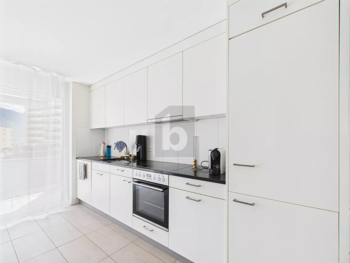STYLE MODERNE AVEC BEAUCOUP DE LUMIÈRE DU JOUR