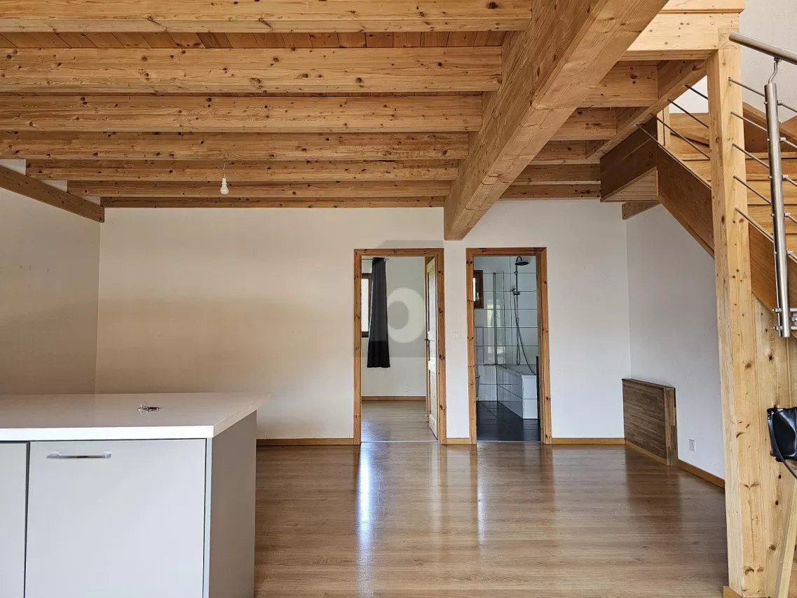 PRIX EXCEPTIONNEL ! MAGNIFIQUE DUPLEX AU CALME !