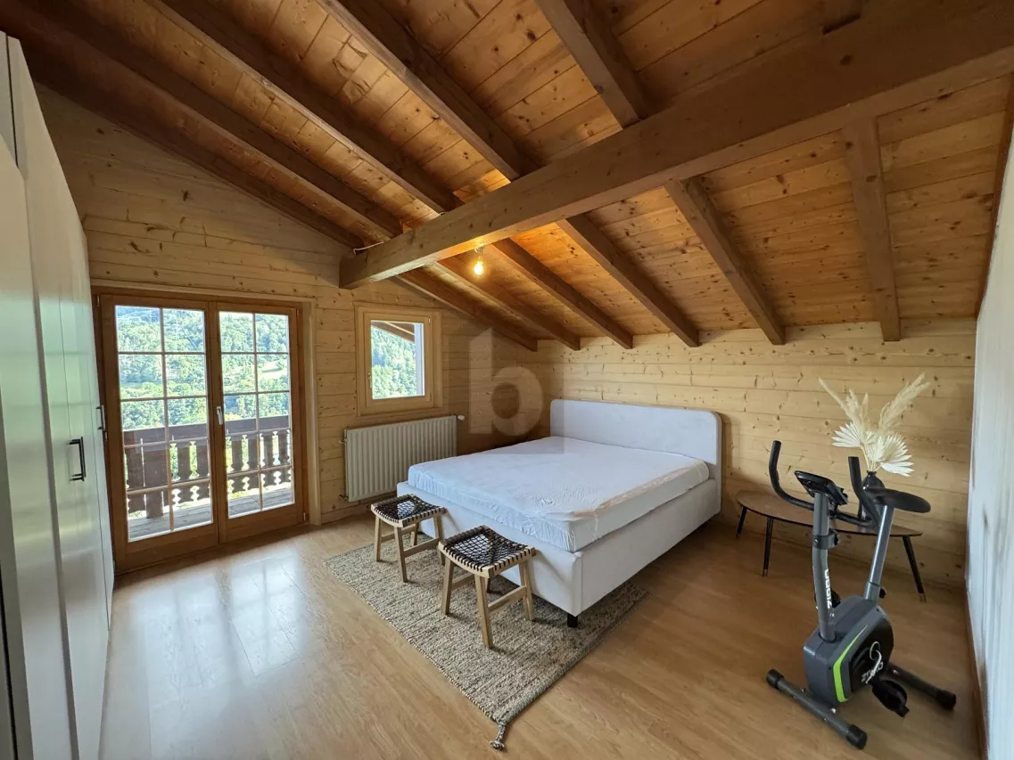 PLEIN SUD ET INCROYABLE VUE SUR LES DENTS DU MIDI