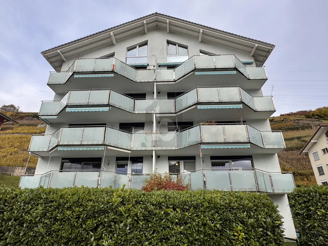 IDÉALE FAMILLE AVEC SPACIEUSE TERRASSE ET BALCON
