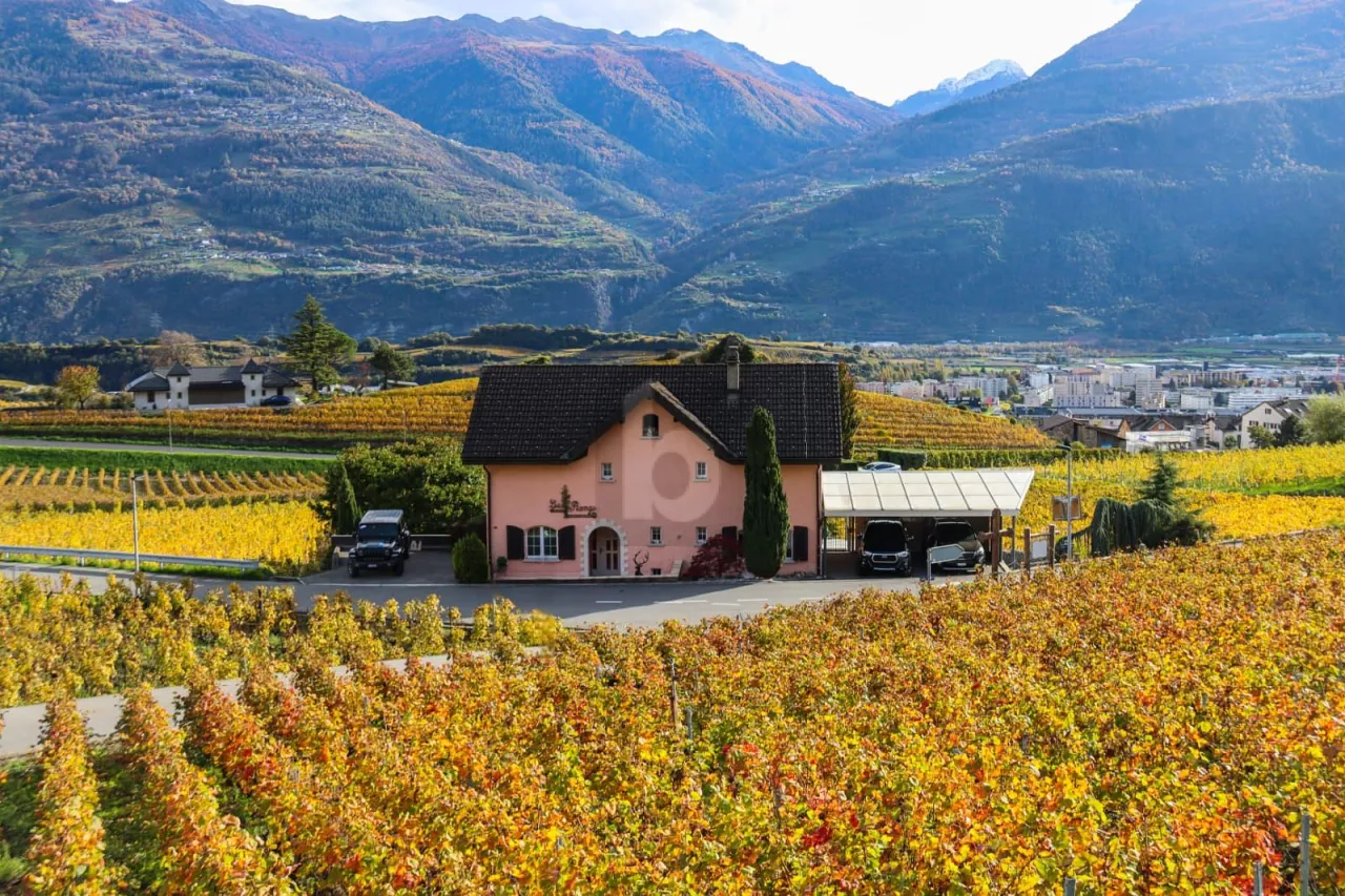 UNIQUE DANS UN CADRE IDYLLIQUE !