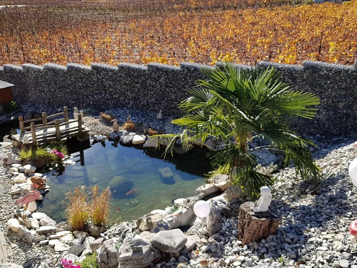 UNIQUE DANS UN CADRE IDYLLIQUE !