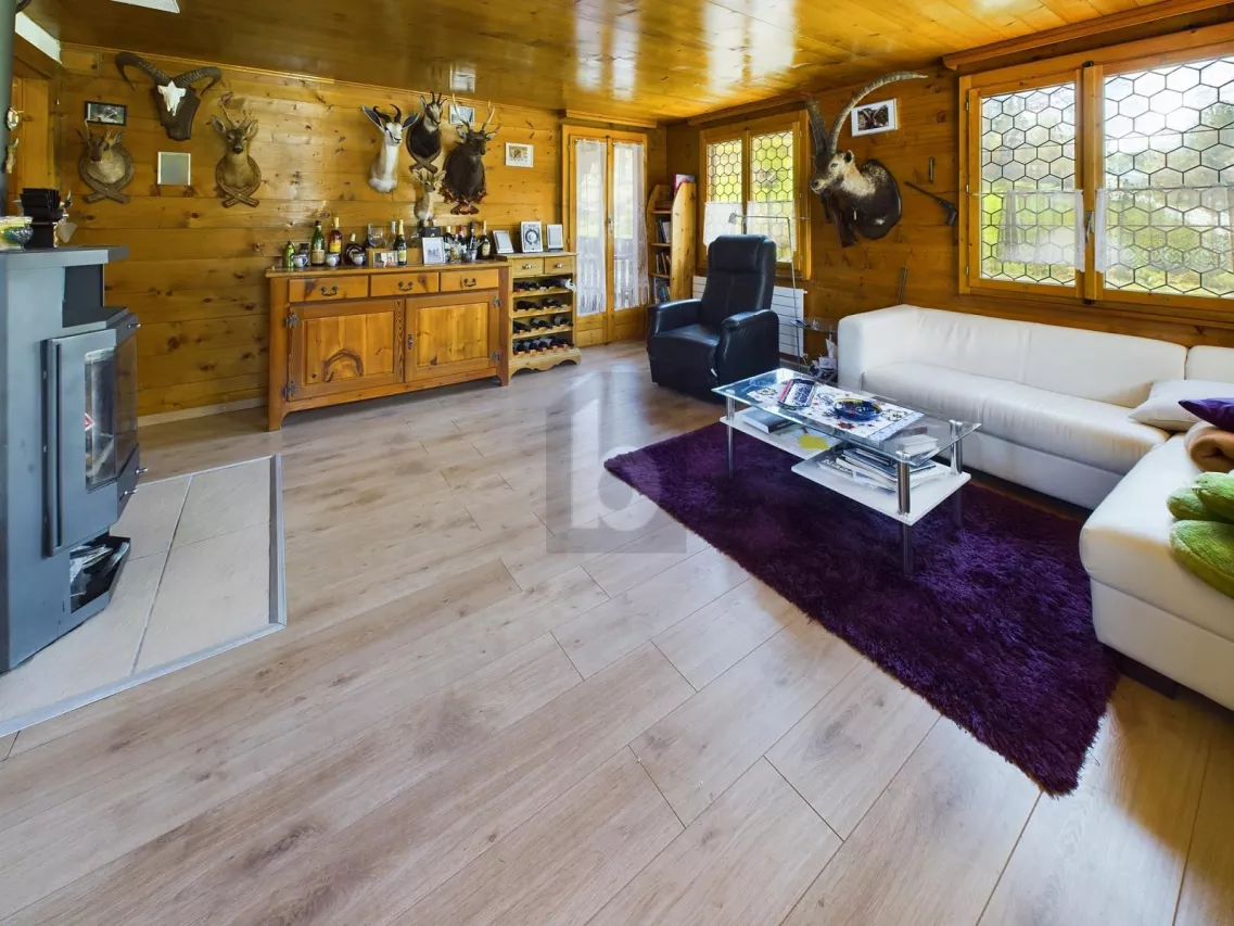 IN DEN ALPEN MIT WUNDERSCHÖNER BERGSICHT