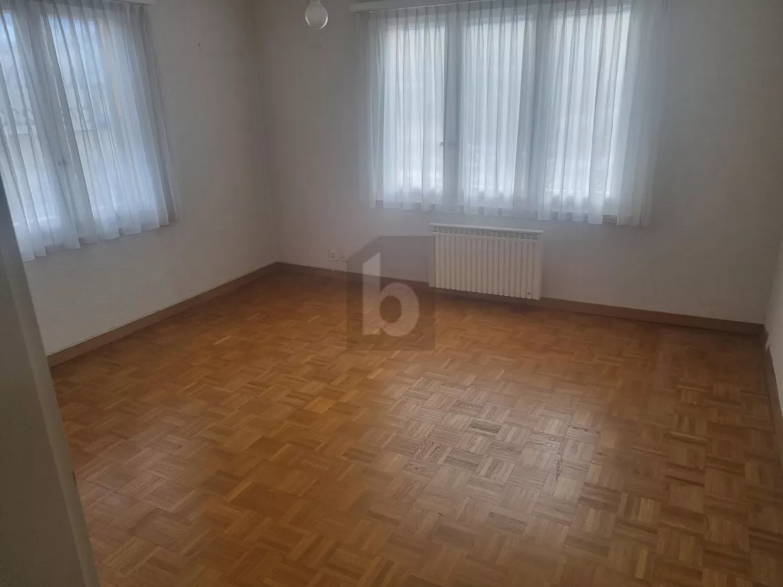 PERLE RARE AVEC UN IMMENSE TERRAIN À VÉTROZ