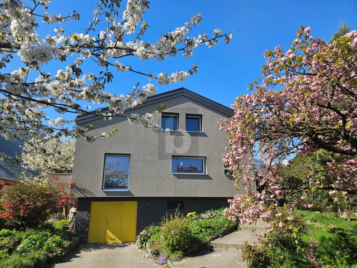 LUMINOSITE INTEMPORELLE ET RADIEUSE