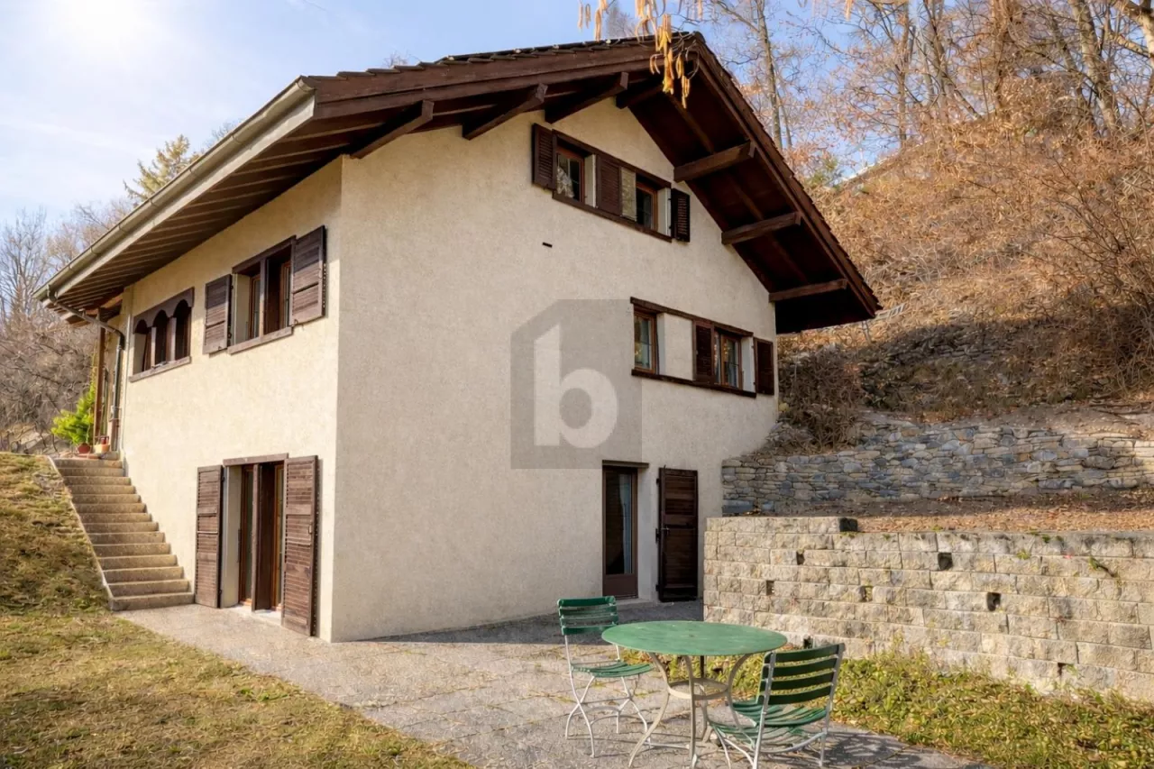 ENTRE CIEL ET VIGNES, BAIGNÉE DE LUMIÈRE