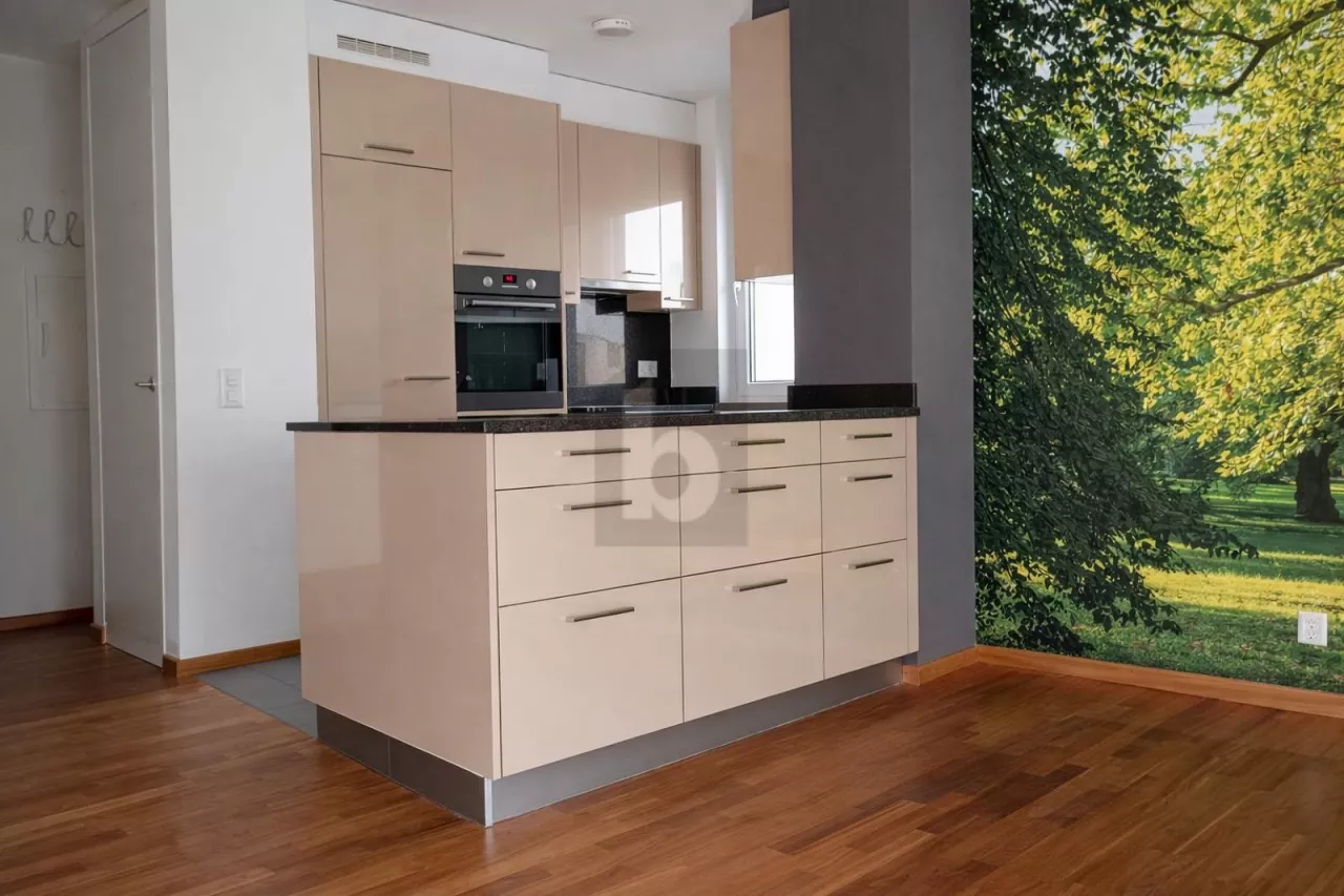 MODERNE, ENSOLEILLÉ & VUE IMPRENABLE