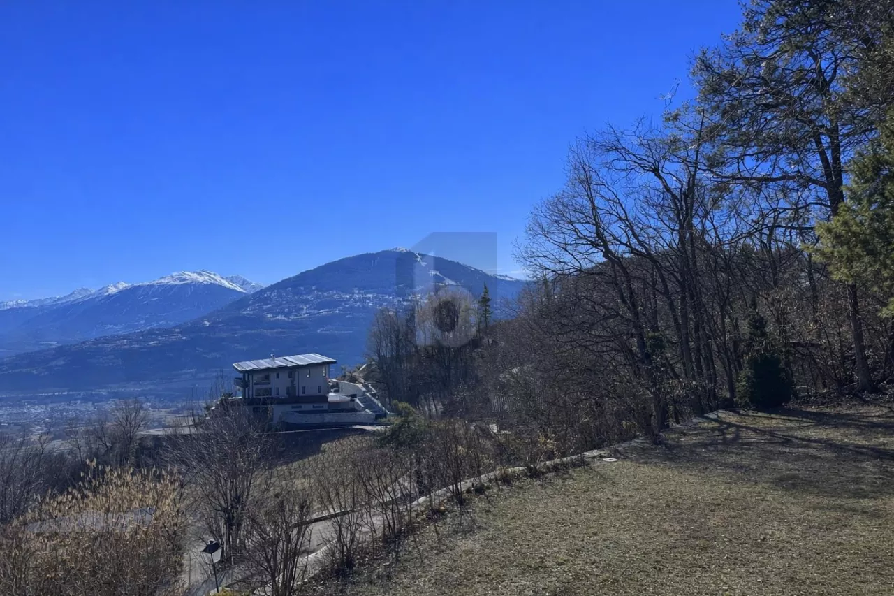 ENTRE CIEL ET VIGNES, BAIGNÉE DE LUMIÈRE