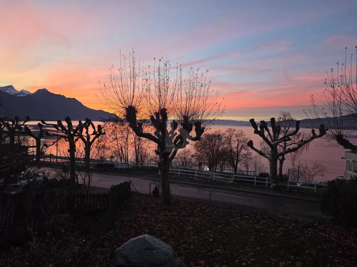 BIEN RÉNOVÉ, STUDIO & VUE UNIQUE