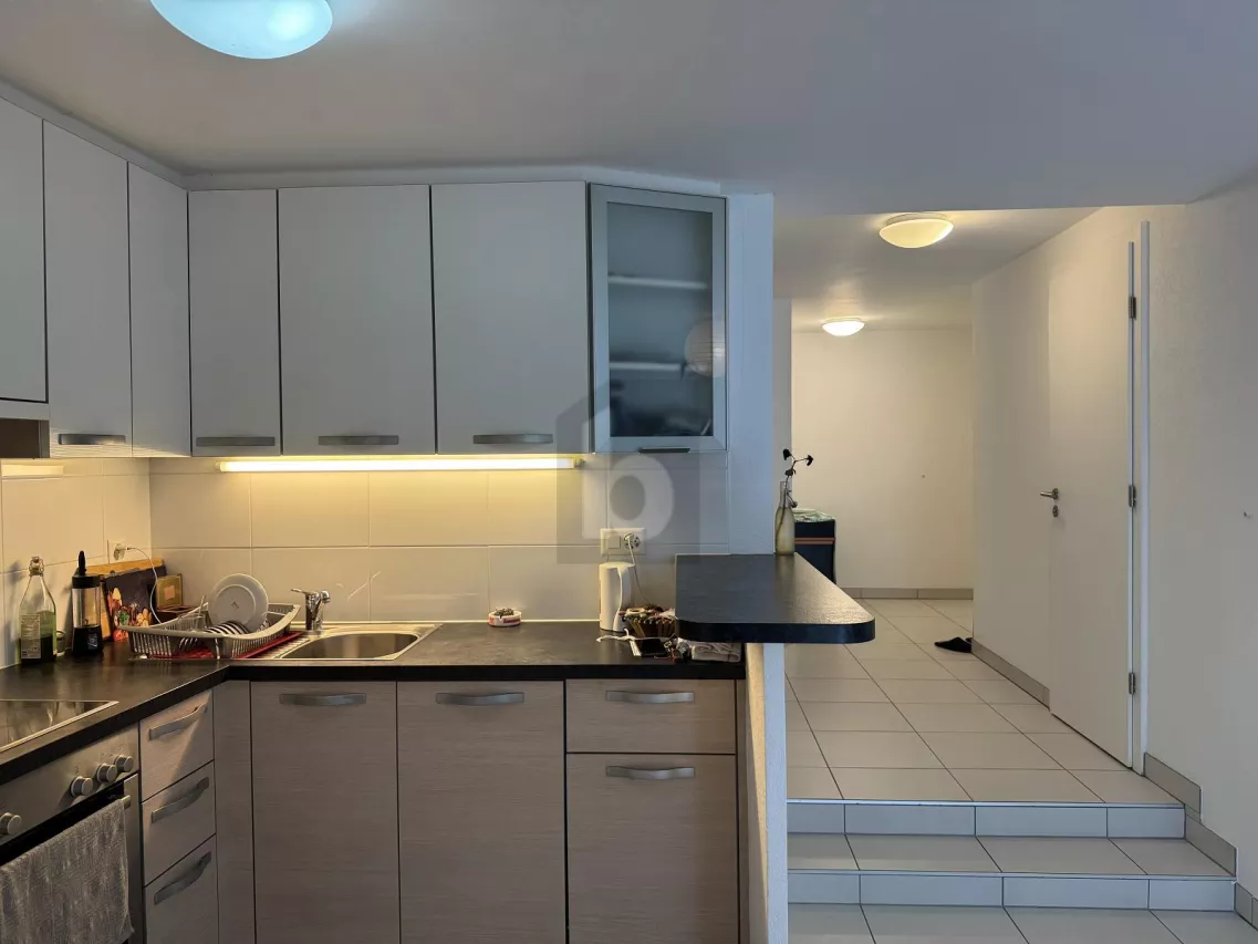 CHARMANT AVEC LOGGIA, PLEIN CENTRE