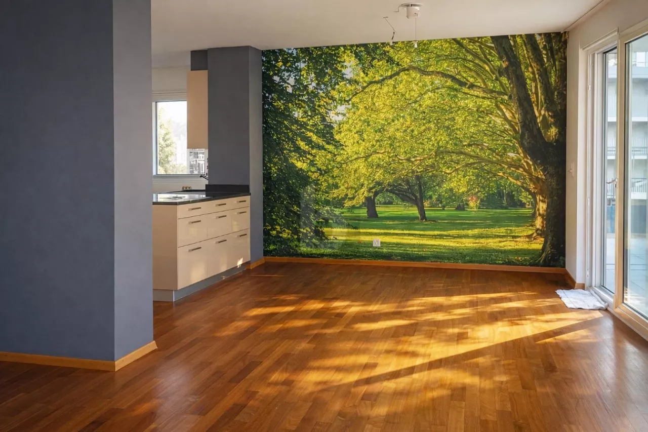 MODERNE, ENSOLEILLÉ & VUE IMPRENABLE