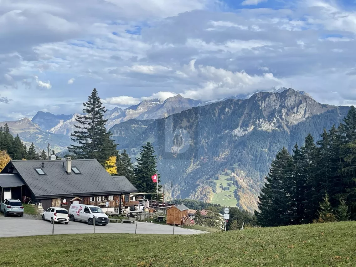 SPLENDIDE CHALET RESTAURANT AVEC APPARTEMENT