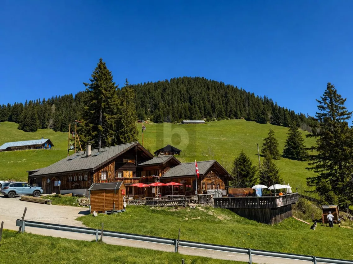 SPLENDIDE CHALET RESTAURANT AVEC APPARTEMENT