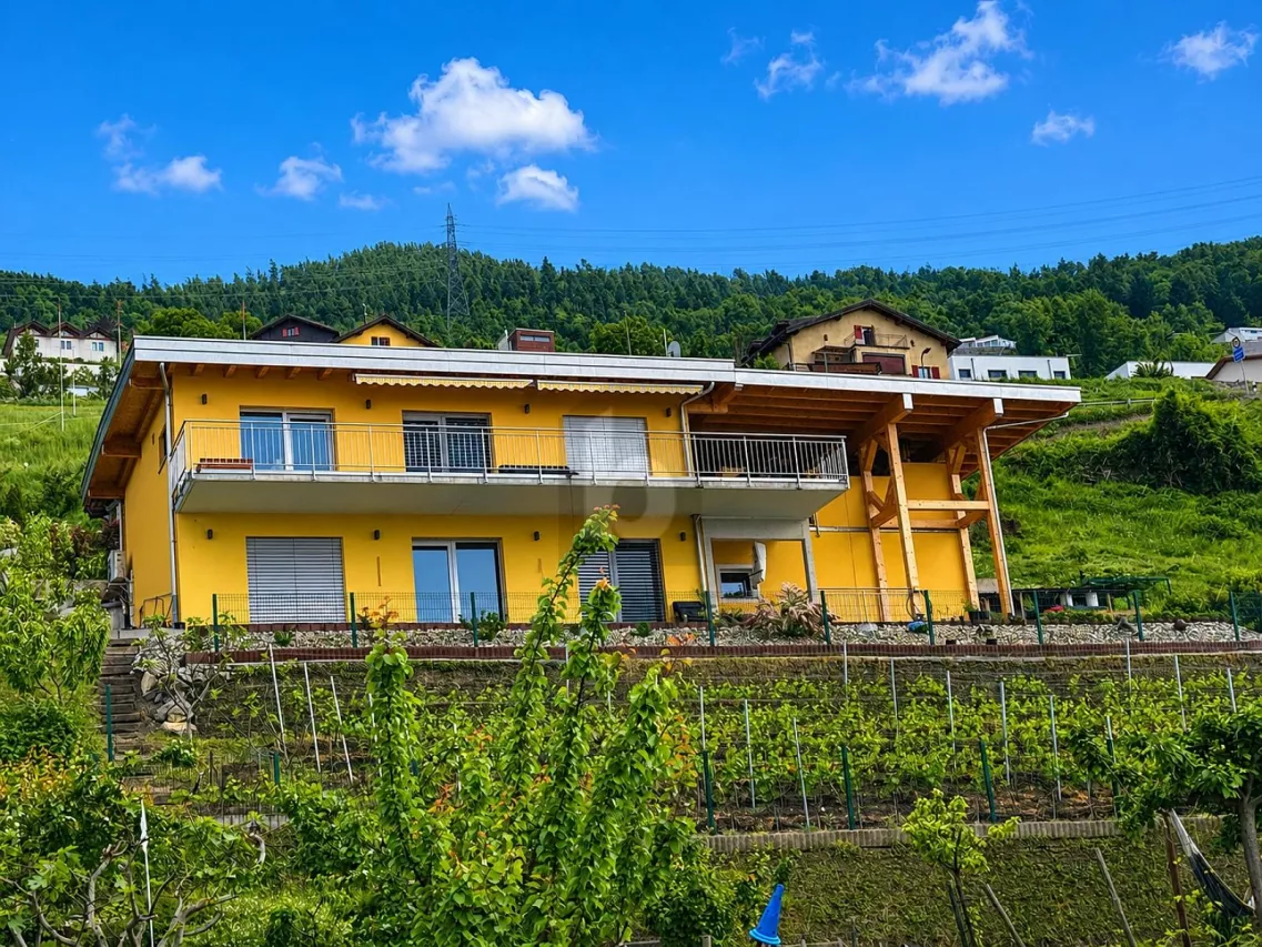 VUE EXCEPTIONNELLE - VILLA MODERNE AVEC STUDIO