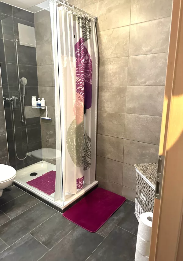 Magnifique appartement de 2,5 pièces à Chamoson