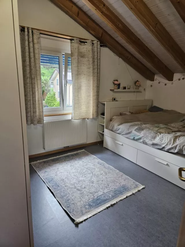 Villa de 6,5 pièces avec appartement de 2,5 pièces