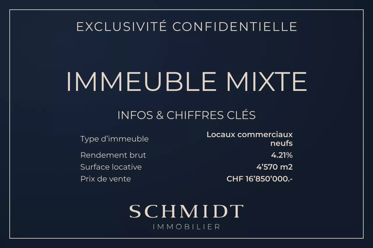 Opportunité d'investissement unique - Ensemble immobilier à vendre