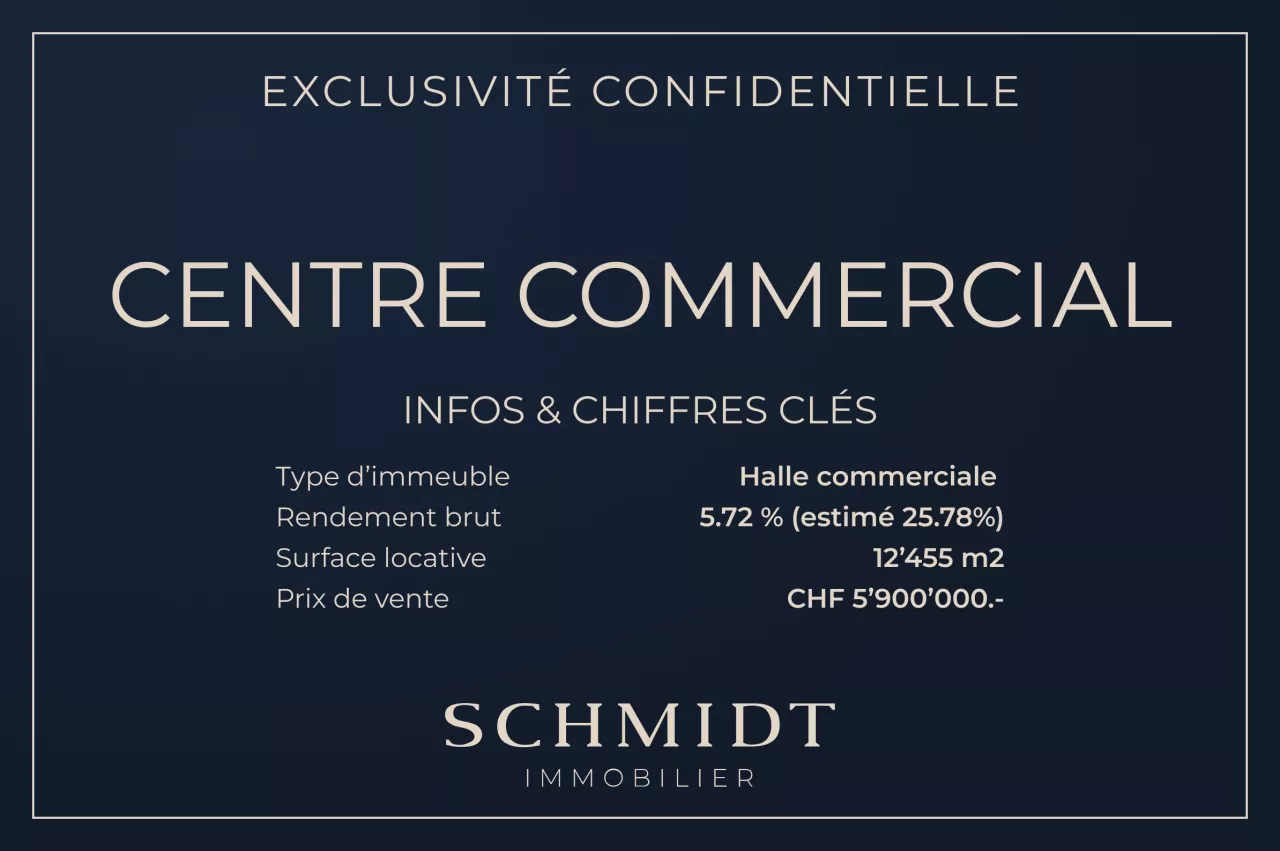 Un investissement stratégique - Complexe commercial