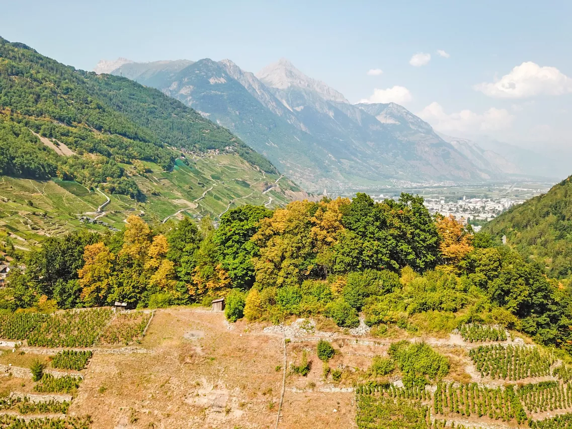 Martigny-Combe - Cadre historique et naturel pour événements