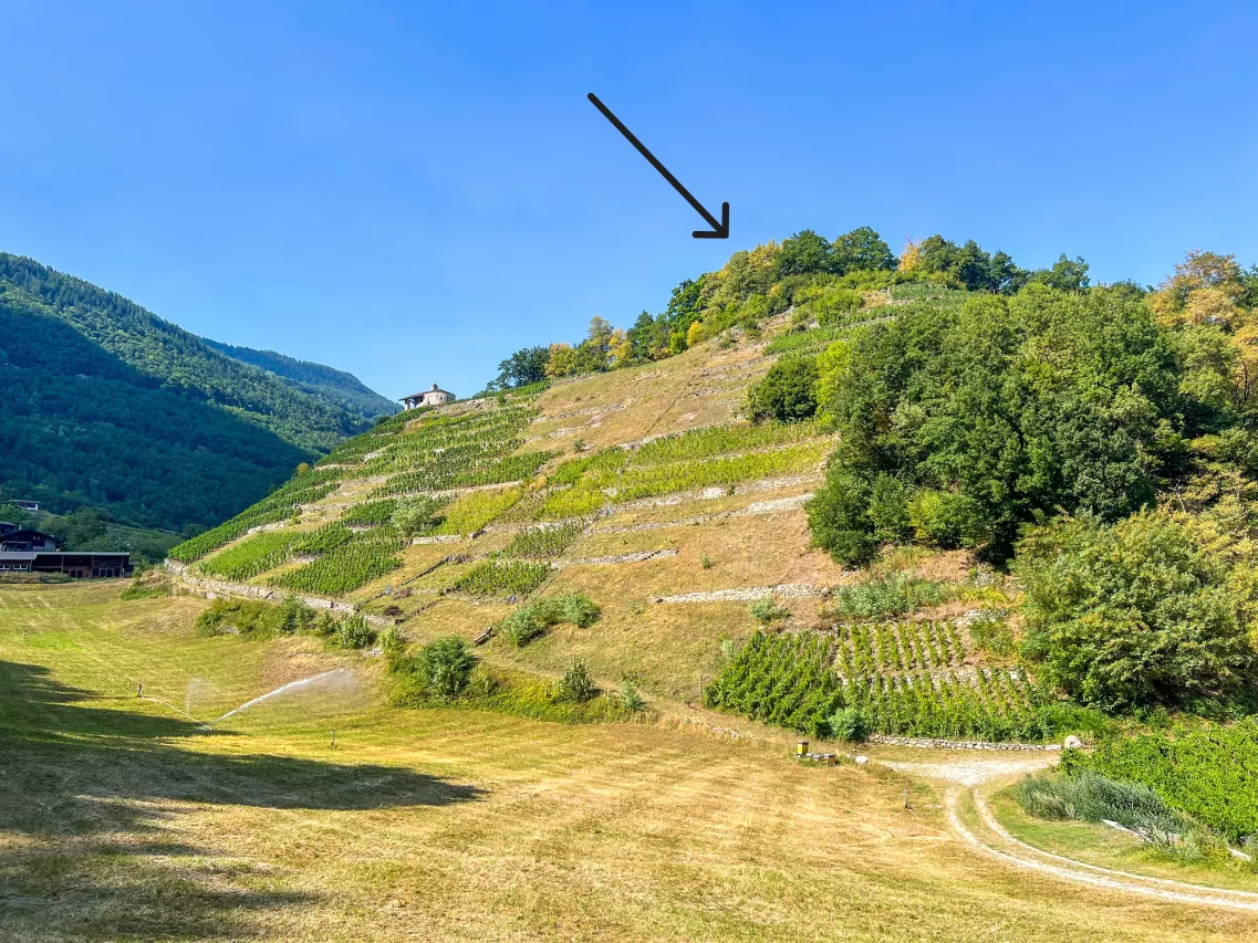 Martigny-Combe - Cadre historique et naturel pour événements
