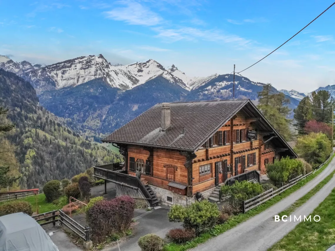 Grand chalet à rénover et potentiel de développement de la parcelle