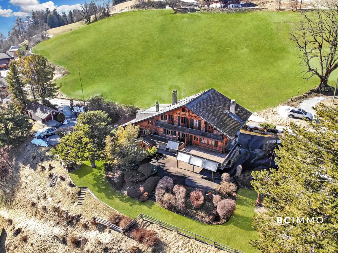 Chalet de 4 appartements et sa magnifique parcelle