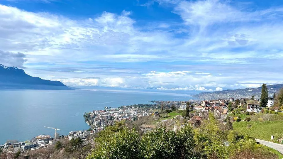 Vente Villa Individuelle 7 pièces à Chernex