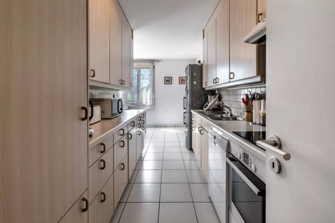 Plan-les-Ouates - Grand appartement traversant au calme
