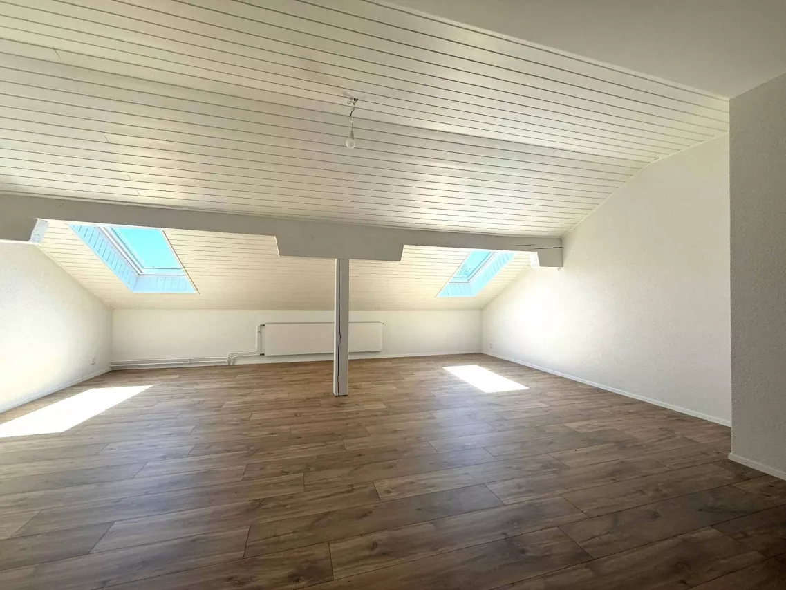 Montet (Broye) - Rénovation totale, magnifique appartement neuf situé dans les combles (type loft)