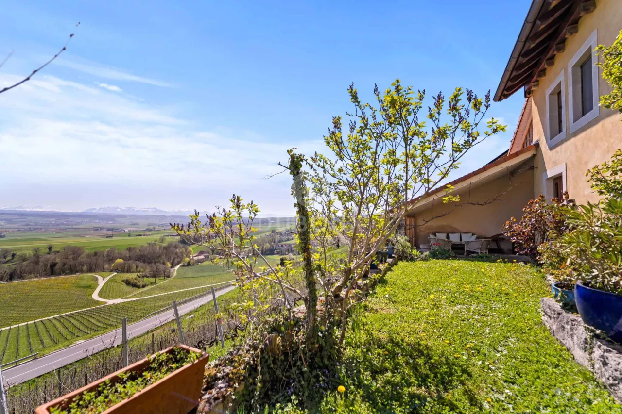 Vente MAGNIFIQUE FERME RÉNOVÉE AVEC VUE IMPRENABLE SUR LE PLATEAU VAUDOIS