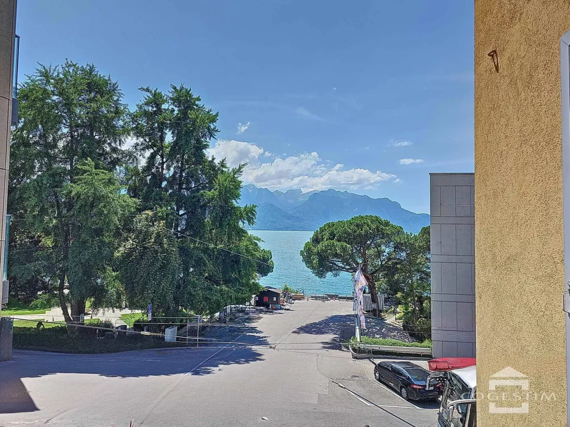 Montreux - Magnifique et spacieux duplex