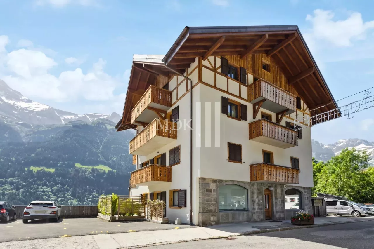 Magnifique appartement à l'entrée de la rue du Village