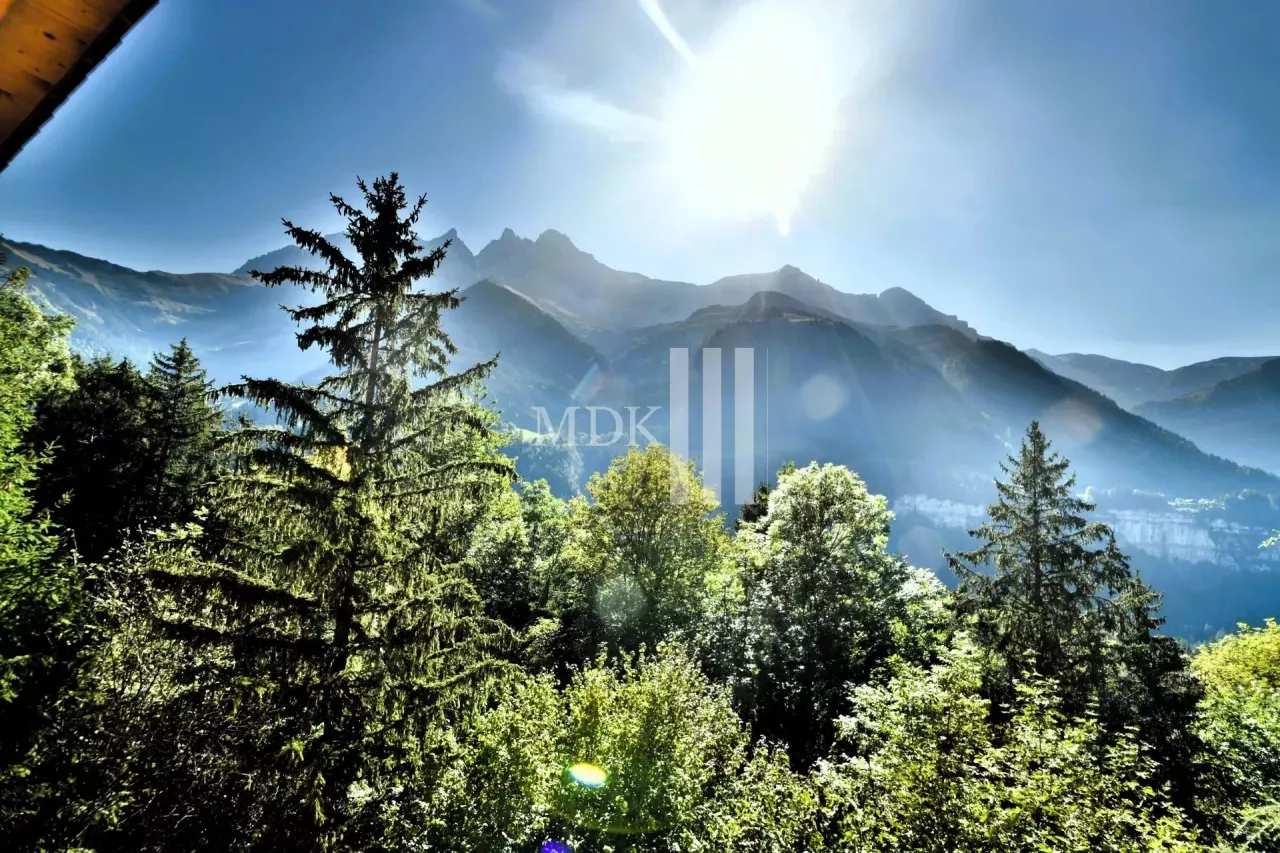 Chalet meublé à louer pour l'hiver 25-26 à Champéry !