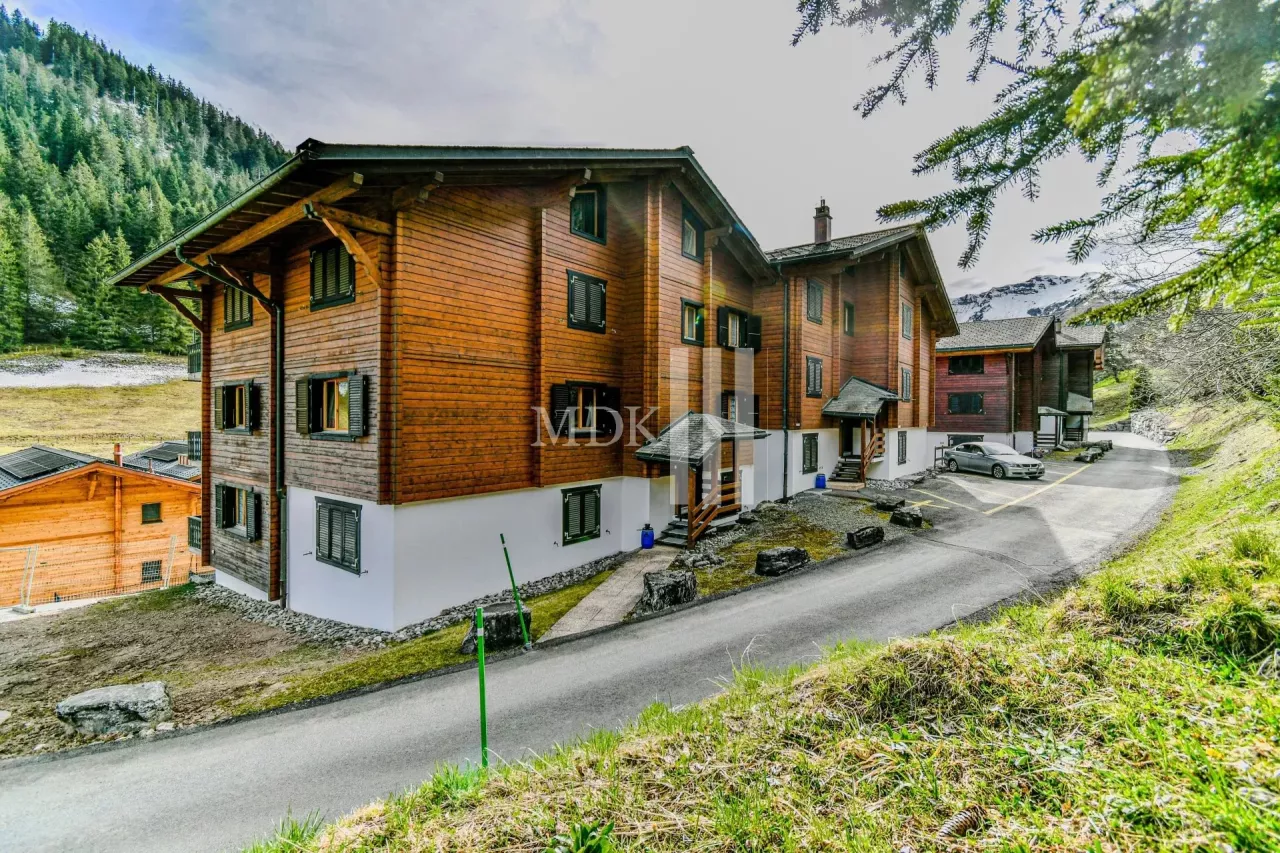 Charming apartment close to the ski slopes