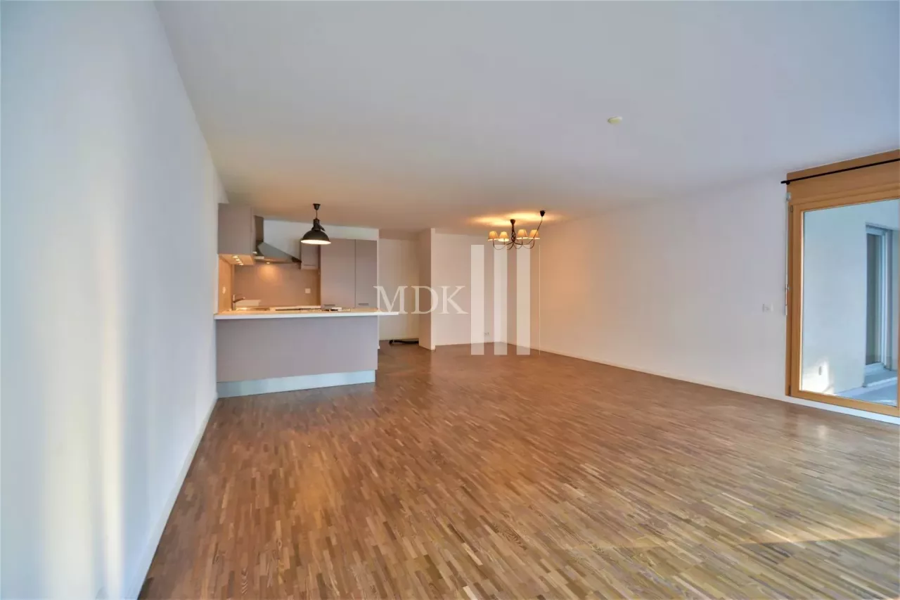 Spacious, bright downtown apartment