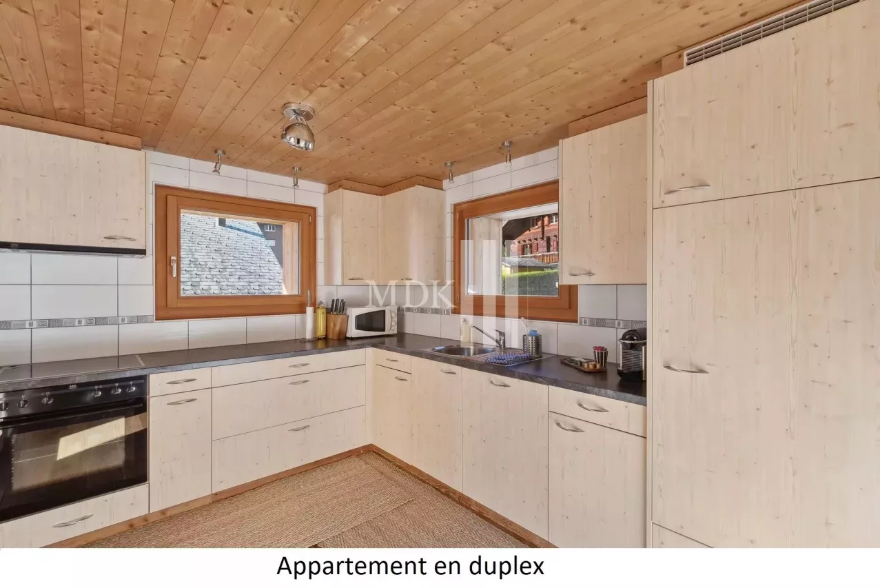 Magnifique chalet de deux appartements