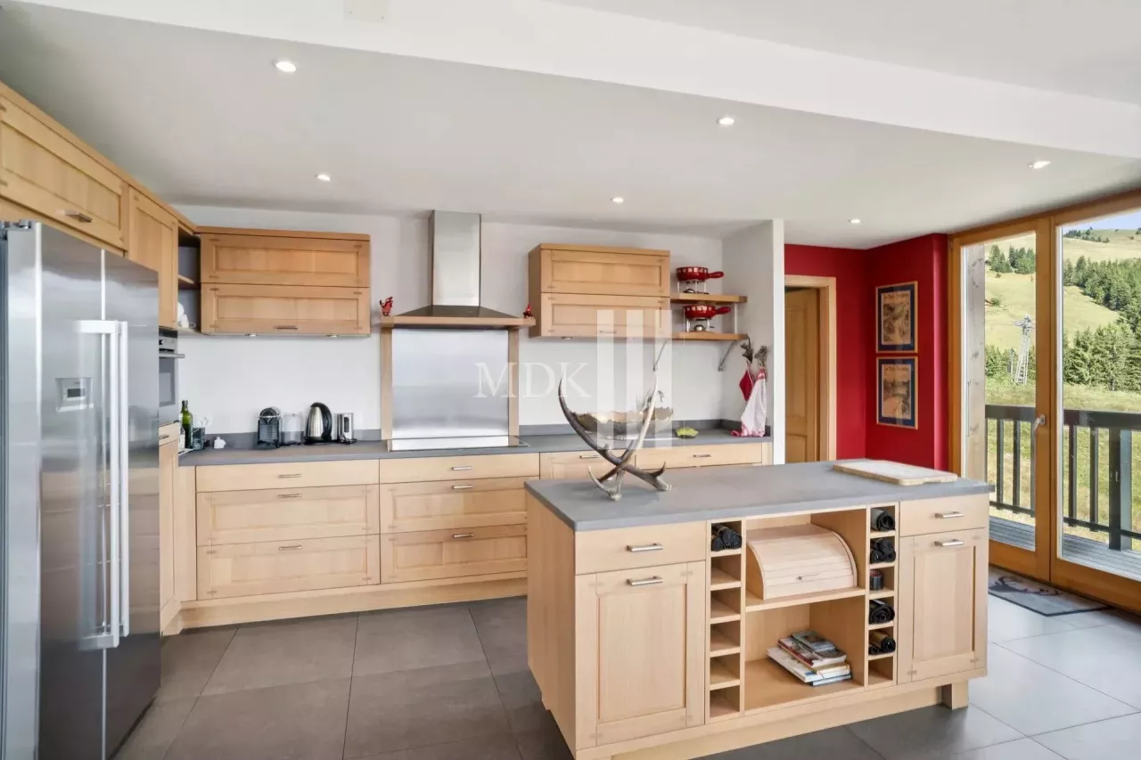 Lumineux appartement : Ski in and out