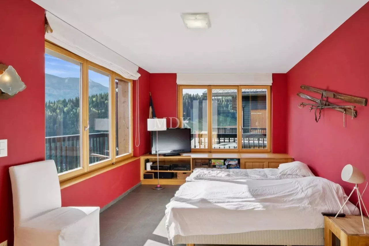 Lumineux appartement : Ski in and out