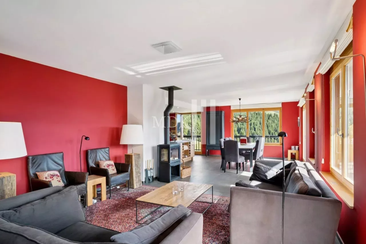 Lumineux appartement : Ski in and out